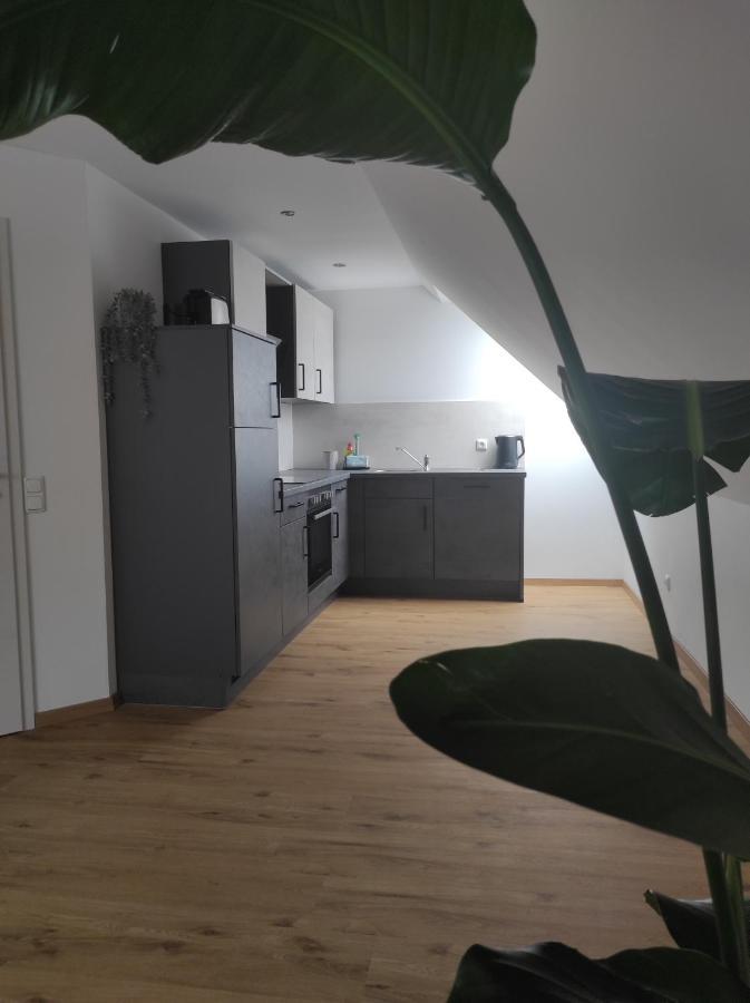 Ferienwohnung Im Distelweg Scheid  المظهر الخارجي الصورة